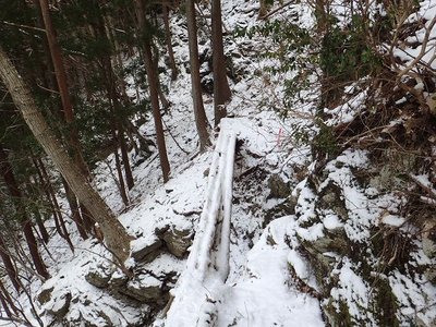 一つ目の丸木橋