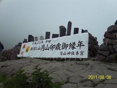 月だからうさぎなんだね