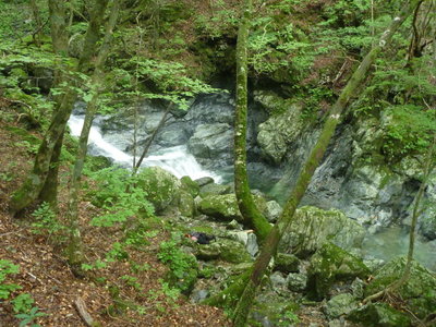 大滝上のオアシス