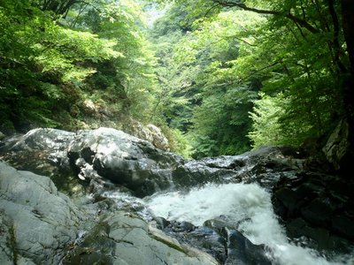 五段ノ滝中段テラスのランチ場からの眺め