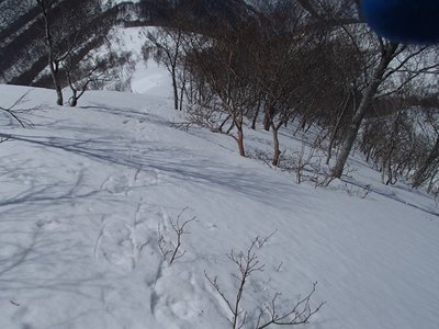 この傾斜と雪質でのシリセードなんてのはあまり考えたくなかったです。