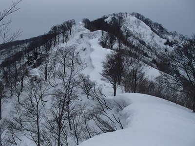もーへろへろなのに何という仕打ちですか・・・。