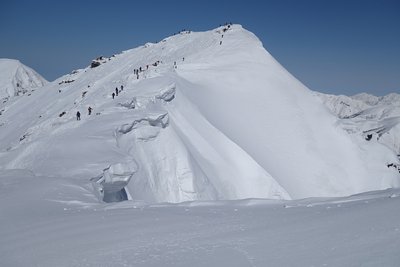 DSC09836.jpg (106.35 KiB) 閲覧された回数 3662 回 トマノ耳からオキノ耳