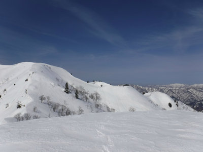 白倉岳と奥美濃の山々