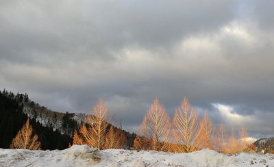国道で見た面白い風景