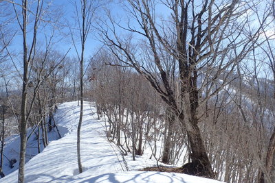 P1111付近の尾根