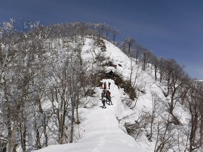 カメラを向けると条件反射で両手を上げる人がいる。