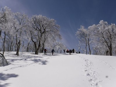 20180324-29.jpg (120.78 KiB) 閲覧された回数 17562 回 先週のスノー衆の余った写真です。