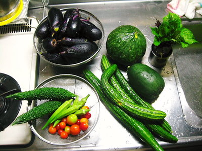 ● こんなにもたくさん採れるんですよ、中秋のお月見はナスビ名月で、なす料理で山に泊ろう思ってますの、くる（＾＾）