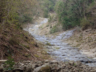 P4050040.jpg (175.88 KiB) 閲覧された回数 7641 回 ナメの始まり始まり