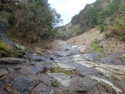 P4050051.jpg (165.71 KiB) 閲覧された回数 7265 回 まだまだナメ