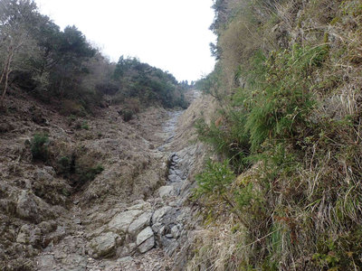 P4050056.jpg (174.63 KiB) 閲覧された回数 7949 回 左俣は頂上直下のガレに消える