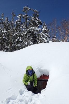 P3240623.JPG (124.58 KiB) 閲覧された回数 8025 回 完全に埋もれたコスモ小屋