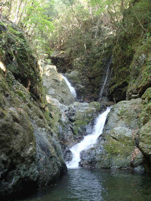 P4220011.jpg (95.55 KiB) 閲覧された回数 5323 回 最初の連瀑帯