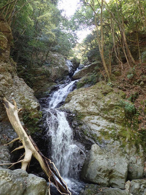 P4220023.jpg (114.43 KiB) 閲覧された回数 5323 回 二つ目の連瀑帯