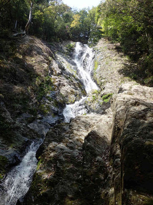 P4220047.jpg (113.36 KiB) 閲覧された回数 5313 回 40m滝