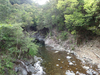 P4220063.jpg (122.34 KiB) 閲覧された回数 5323 回 癒し系の瀬場谷出合