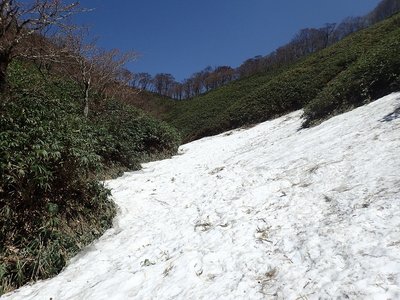 雪の谷間