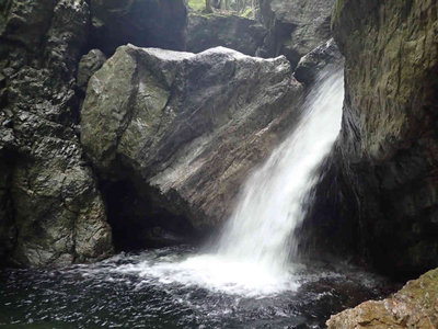 P5030049.jpg (68.53 KiB) 閲覧された回数 5124 回 五所ヶ滝下