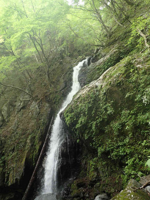 P5030065.jpg (104.05 KiB) 閲覧された回数 5126 回 核心の20m滝