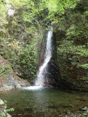 P5030066.jpg (98.13 KiB) 閲覧された回数 5126 回 石谷滝15m