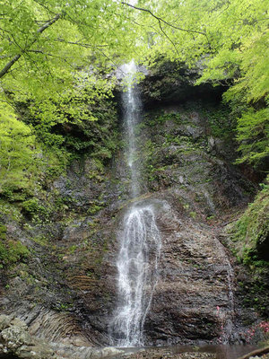 P5030078.jpg (141.52 KiB) 閲覧された回数 5704 回 白倉滝35m