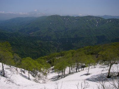 s-110957.jpg (86.92 KiB) 閲覧された回数 4950 回 2006.05.12 な、なんじゃーこりゃー?