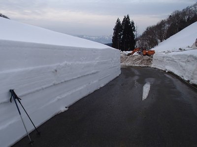 勝山から大した標高差も無いのに・・・