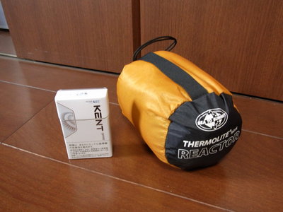 サーモライトリアクター