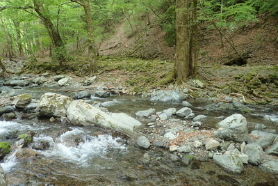 自分は違うところへ下りて渡渉(^^;)