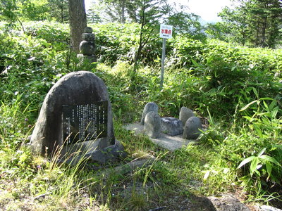 ● これどこで見たのかなあ、思い出せないの、たぶんどこかの登山口だろう。