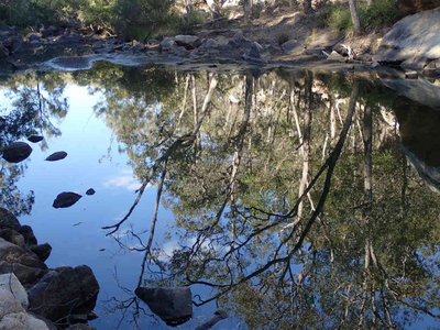 P6230040.jpg (108.98 KiB) 閲覧された回数 6116 回 鏡面のような水たまり