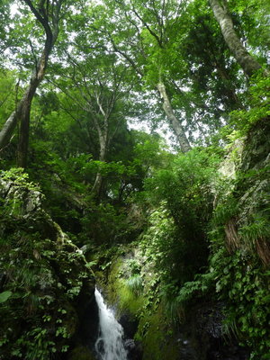 カメリ(カメサ？)谷