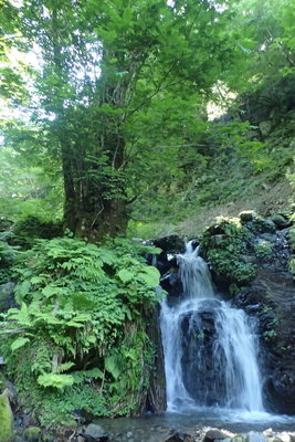 スキヤ谷の滝
