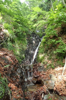 これは見栄えがするとは言い難い・・・