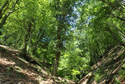 滝はなくともこれならOK