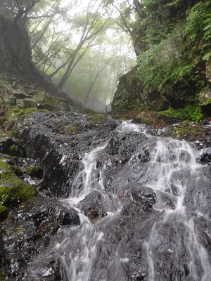 DSCF1007.JPG (319.2 KiB) 閲覧された回数 7909 回 源流部