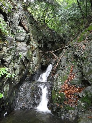 DSCF0953.JPG (361.2 KiB) 閲覧された回数 7909 回 ゴルジュの入口