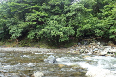 由良川本流渡渉点とカラオ谷出合