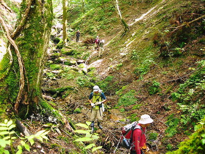 ●　谷の斜面を見ながら