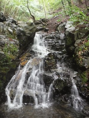 DSCF0988.JPG (329.03 KiB) 閲覧された回数 7878 回 源流部