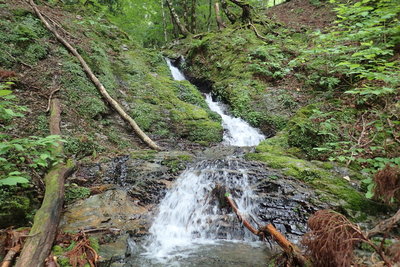源頭部に近付くと癒し系に