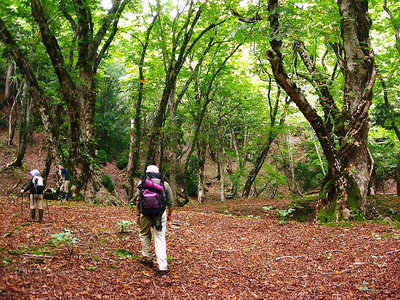 さわやかな所だ.JPG (261.67 KiB) 閲覧された回数 3960 回 ● 爽やかなところだよなあ、険しい所過ぎてホッ