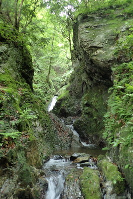 ゴルジュの入口