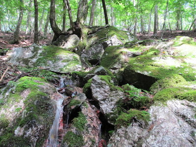 鉄砲谷の湧水、通称鉄砲水？