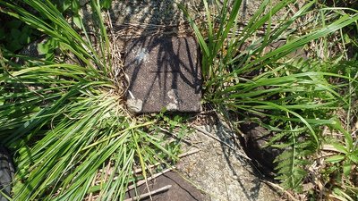 P7161493.jpg (152.88 KiB) 閲覧された回数 6751 回 埋もれた三角点柱