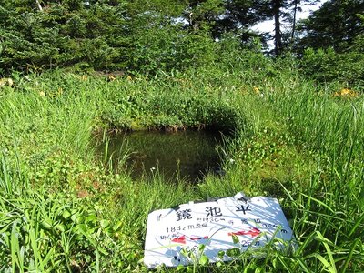 20180721 (5).JPG (193.75 KiB) 閲覧された回数 12204 回 小さな小さな鏡池