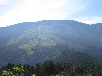 20180721 (8).JPG (74.79 KiB) 閲覧された回数 12777 回 北ノ俣岳の全貌(霞んでるのが残念)