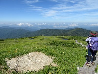 20180721 (15).JPG (113.32 KiB) 閲覧された回数 12220 回 池塘群の中には土砂で埋もれた池塘も(-_-;)