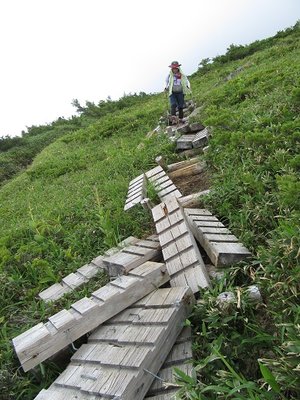 北ノ俣避難小屋分岐から少し上った辺りの木道の様子